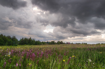 Before the storm / ***