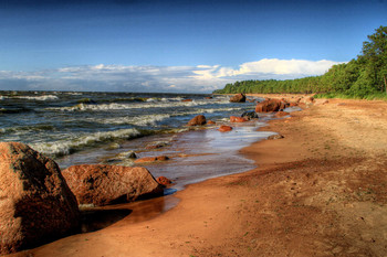 The Baltic Coast / ***