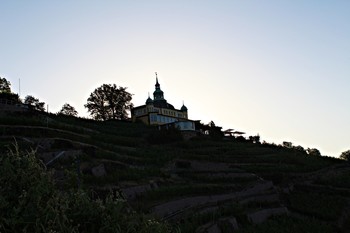 https://www.joergsfotografischeaugenblicke.de/ / Ein beginnender Sommertag am Weinberg in Radebeul