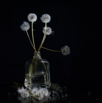 Last Things / ***