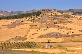 Sicily / ***
