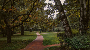 In the park. / ***
