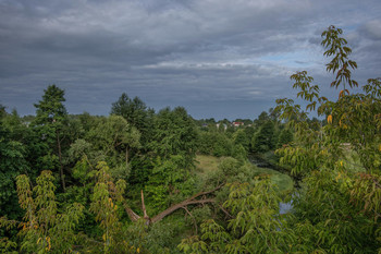 After the storm. / ***