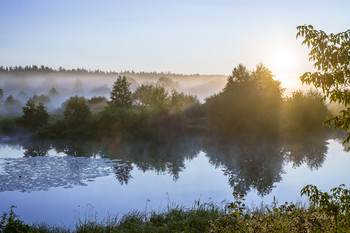 Fog / ***