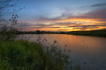 At the pond / ...