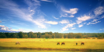 Under the blue sky ... / ***