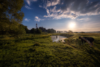 Rural morning / ***