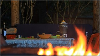 At the cottage ... / ***