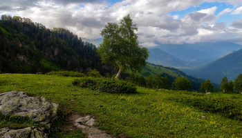 On Seven Winds / ***