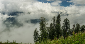 Where - is in the clouds / ***