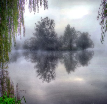 mist day / ***