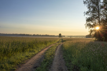 July morning / ***