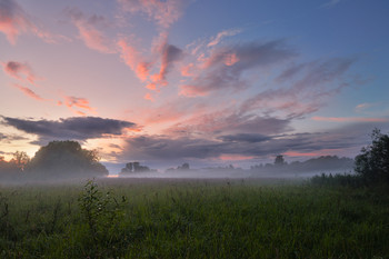 Evening sky / ***