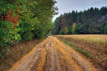 Soon autumn ... / ***