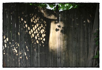 Shadow play / ***