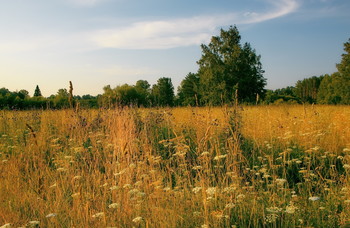 Summer evening. / ***