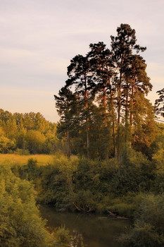 Warm evening. / ***