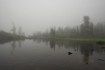Foggy morning / ***