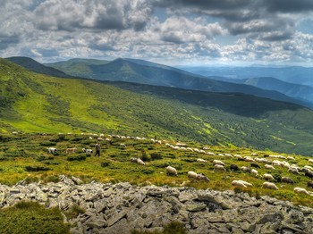 &nbsp; / [img]https://i.imgur.com/G5CEgjA.jpg[/img]
[img]https://i.imgur.com/L7YuU76.jpg[/img]
[img]https://i.imgur.com/NrgGDYR.jpg[/img]
[img]https://i.imgur.com/vkklUkt.jpg[/img]
