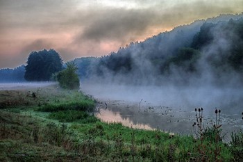 Summer morning on the river / ***