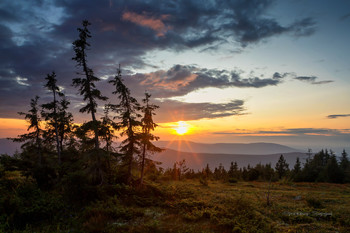 Sunset / ***