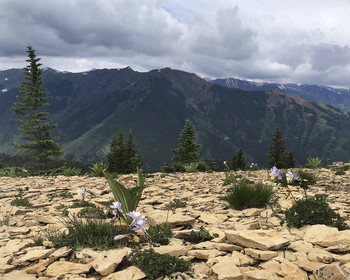 somewhere in the mountains / Colorado