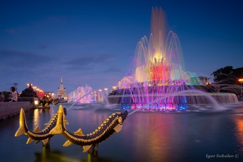 The Stone Flower / ***