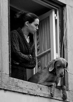 In the window / ***