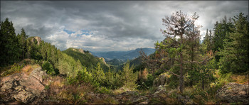 Waiting for the Miracle / Approaching rainy evening. Wind combing the forest in rare sunshine and the shadows of the olden clouds descend into the valley, preparing to absorb the life-giving moisture, to rise with it to the sky and again reborn, repeating its karmic circle ... 

This artwork is also available in the spherical panorama technique here:
https://www.360cities.net/profile/awesome/image/overcast-mountain-landscape-neviasta-mount-smolyan-bulgaria

The native resolution 18262 x 7701px is available by special request. 

Shooting and processing method: stitching panoramic, 2 rows of 8 photos with overlapping, HDR from 5 steps exposure bracketing.