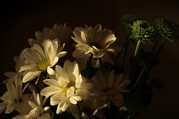 It was getting dark ... / ***