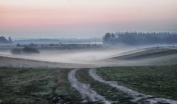 Foggy morning / ***