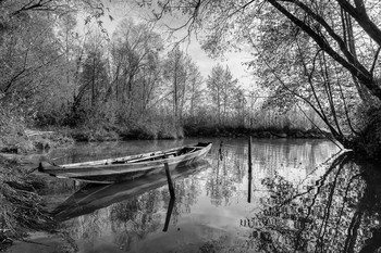 An der Donau / Fischerboot an der Donau