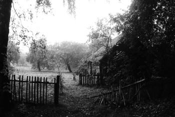 The cabin windows to the garden ... / ***
