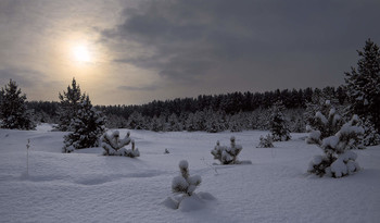 Winter evening / ***