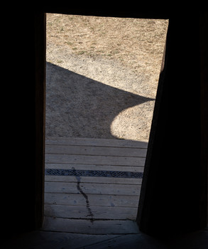 Door / .....