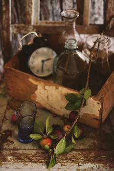 &nbsp; / ........................