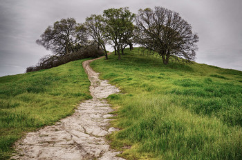 Way up / ***