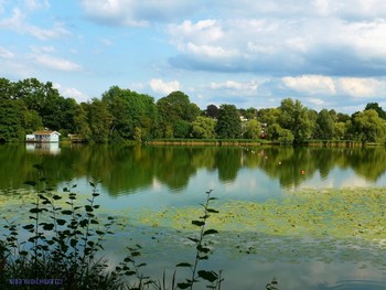 Außenmühlenteich Hamburg / ***