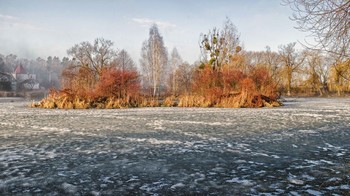 Winter fog / ***