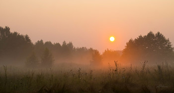 Summer morning. / ***