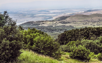 Crimean landscape / ***