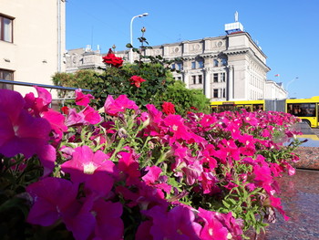 Morning city / ***