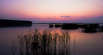 Sunset on the lake. / ***