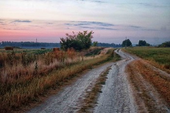 The road in the morning / ***