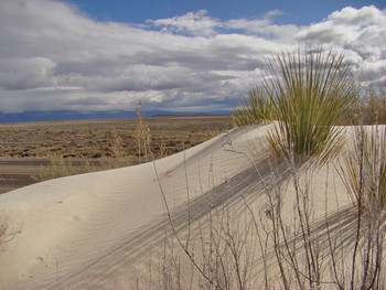 &nbsp; / White Sands National Monument, New Mexico, USA 
https://www.nps.gov/whsa/index.htm