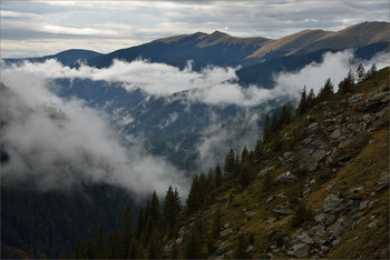 Carpathians / ***