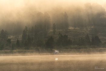 Morning at the lake / ***