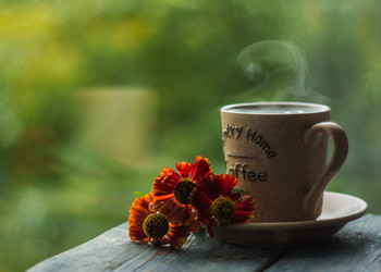 The day begins / ***