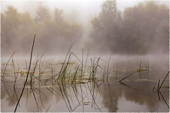 fog on the river / ***