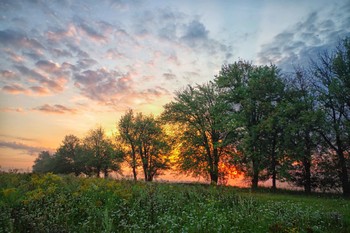 Morning Rays / ***